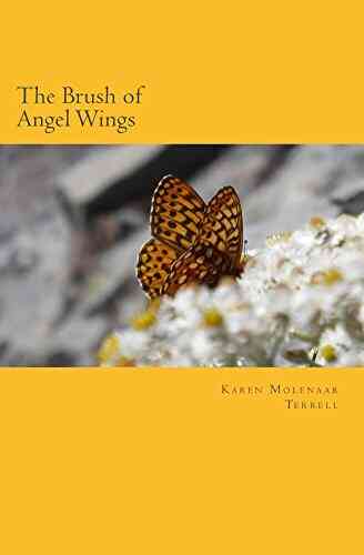 The Brush Of Angel Wings