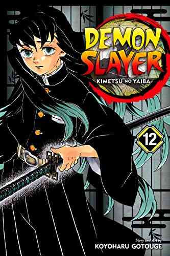 Demon Slayer: Kimetsu No Yaiba Vol 12: The Upper Ranks Gather