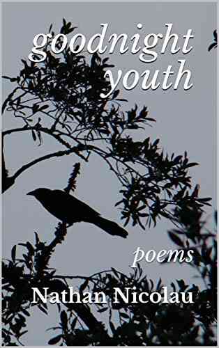 Goodnight Youth: Poems Nathan Nicolau