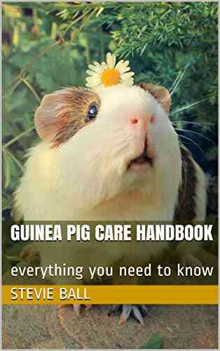 Guinea Pig Care Handbook: Everything You Need To Know