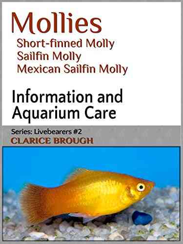 Mollies Short Finned Molly Sailfin Molly Mexican Sailfin Molly (Livebearing Fish 2)