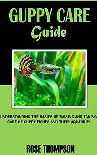 GUPPY CARE GUIDE: Understanding The Basics Of Raising And Taking Care Of Guppy Fishes And Their Aquarium