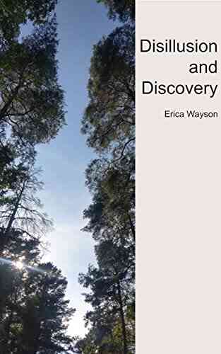 Disillusion And Discovery SiblingsBooks