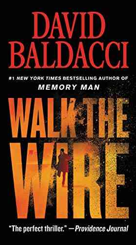 Walk The Wire (Amos Decker 6)