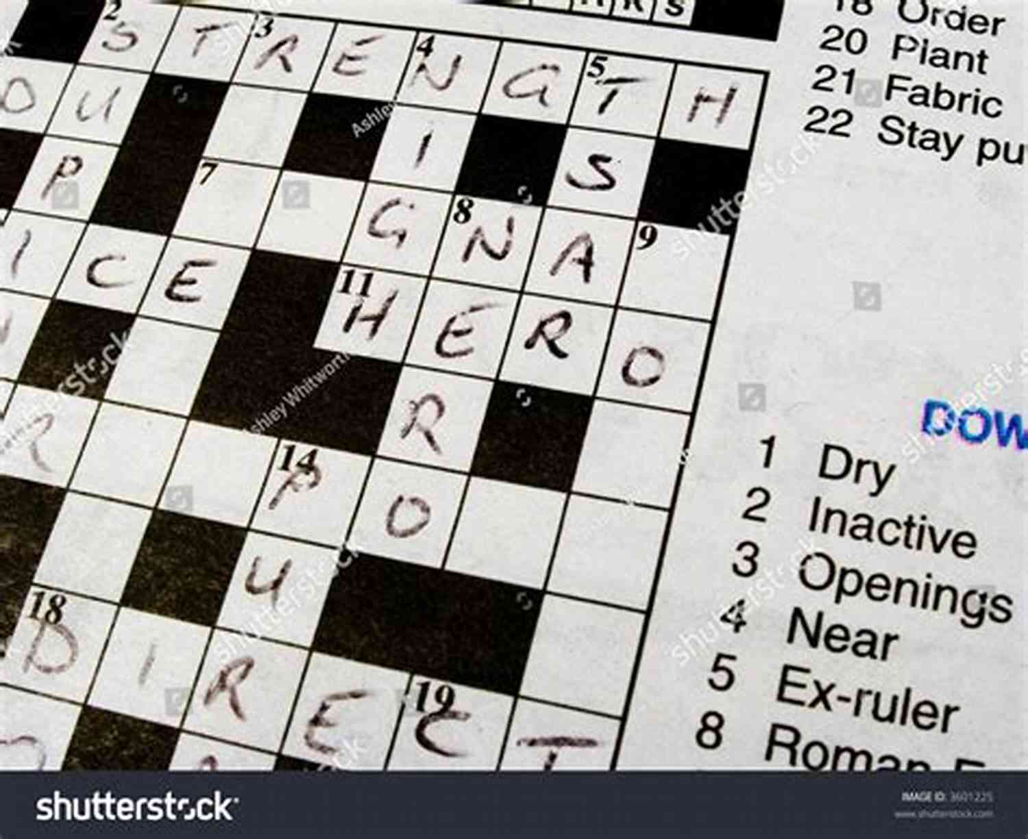 A Completed Crossword Puzzle, Showcasing David's Triumph The Puzzler: One Man S Quest To Solve The Most Baffling Puzzles Ever From Crosswords To Jigsaws To The Meaning Of Life