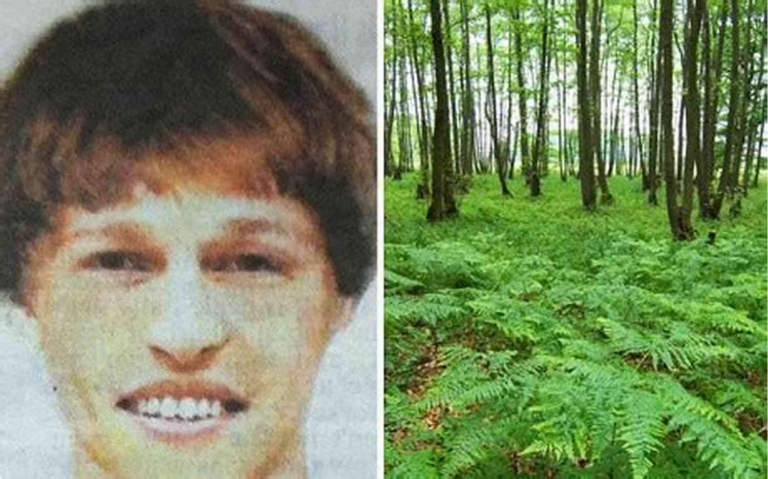 A Mysterious Boy Emerges From The Depths Of The Forest, Captivating Everyone In His Path. The Boy From The Woods