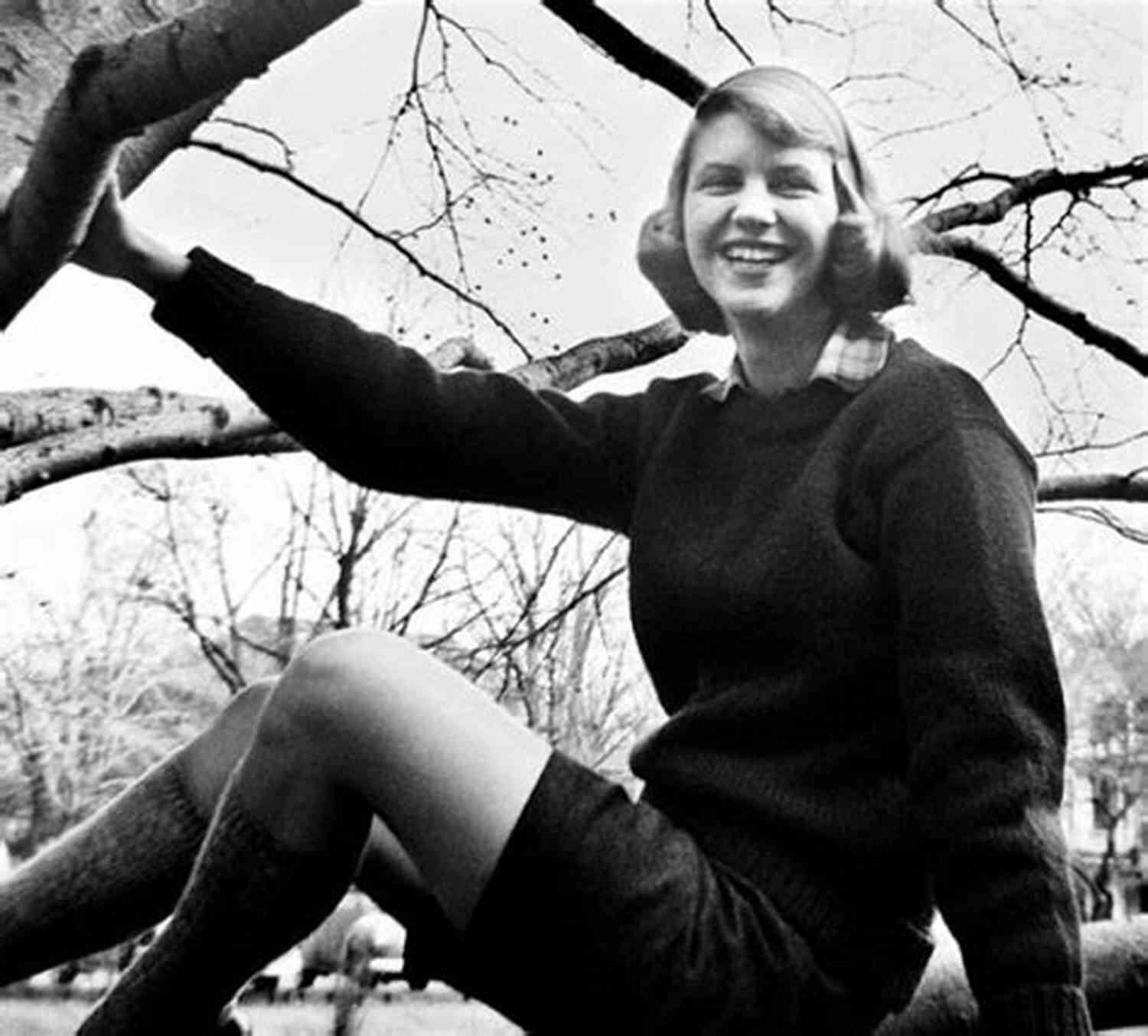 A Portrait Of Sylvia Plath, The Talented Poet Who Left An Indelible Mark On Literature Red Comet: The Short Life And Blazing Art Of Sylvia Plath