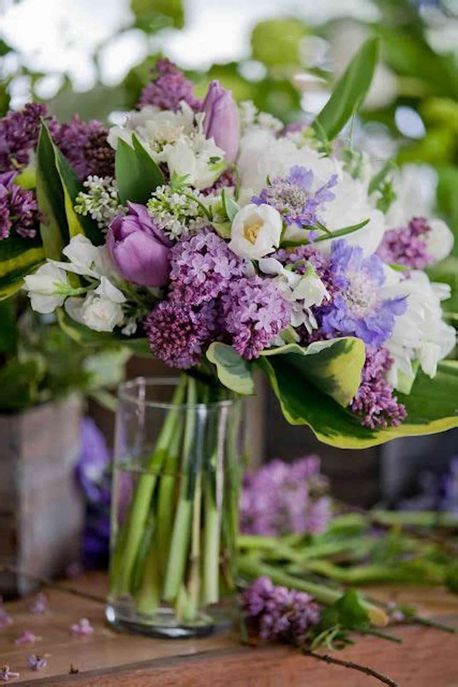 A Stunning Russian Garden Adorned With Sweet Lilac Flowers Sweet Lilac Scent (The Blossoms Of Russia 1)