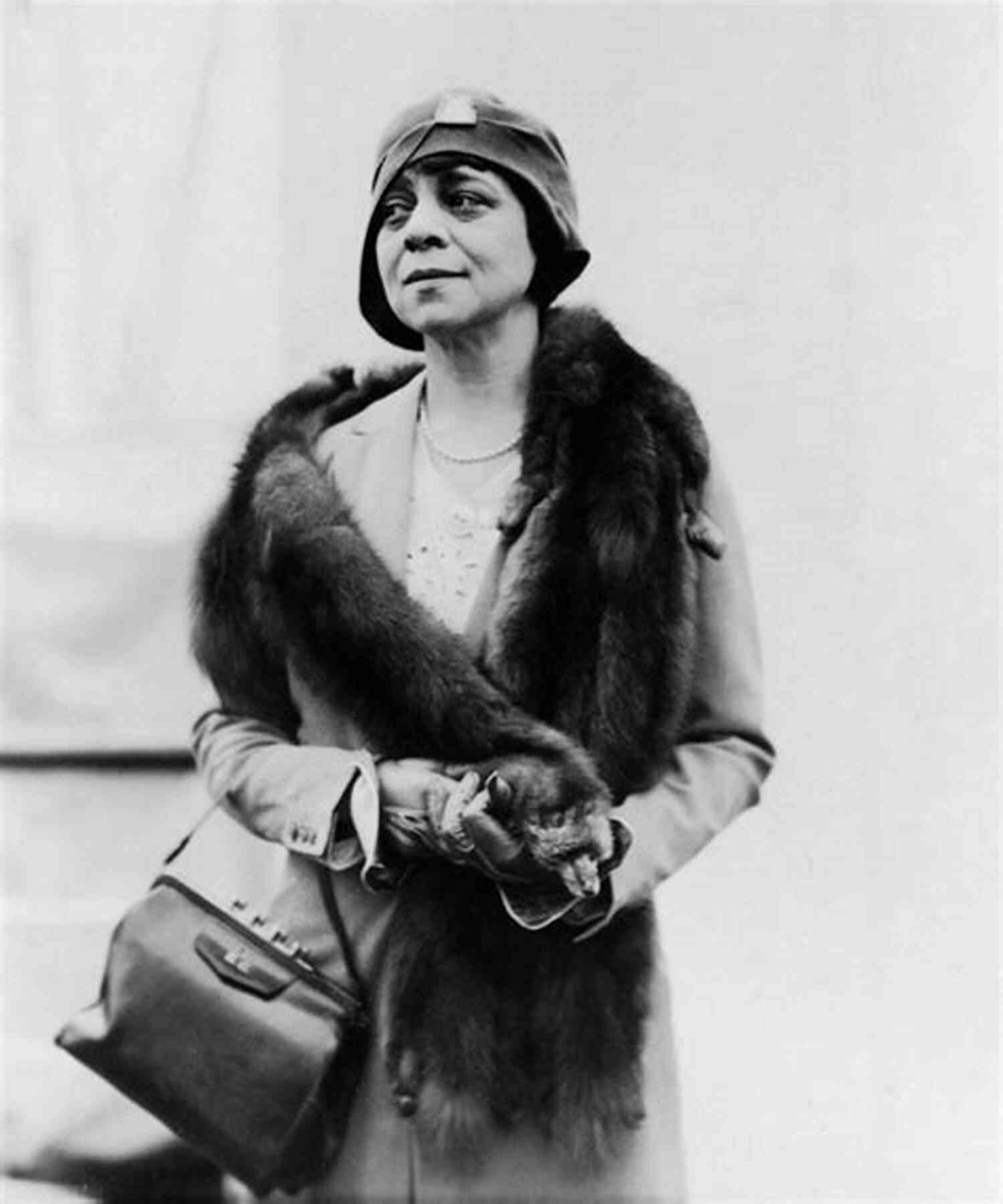 Belle Da Costa Greene, The Personal Librarian The Personal Librarian Marie Benedict