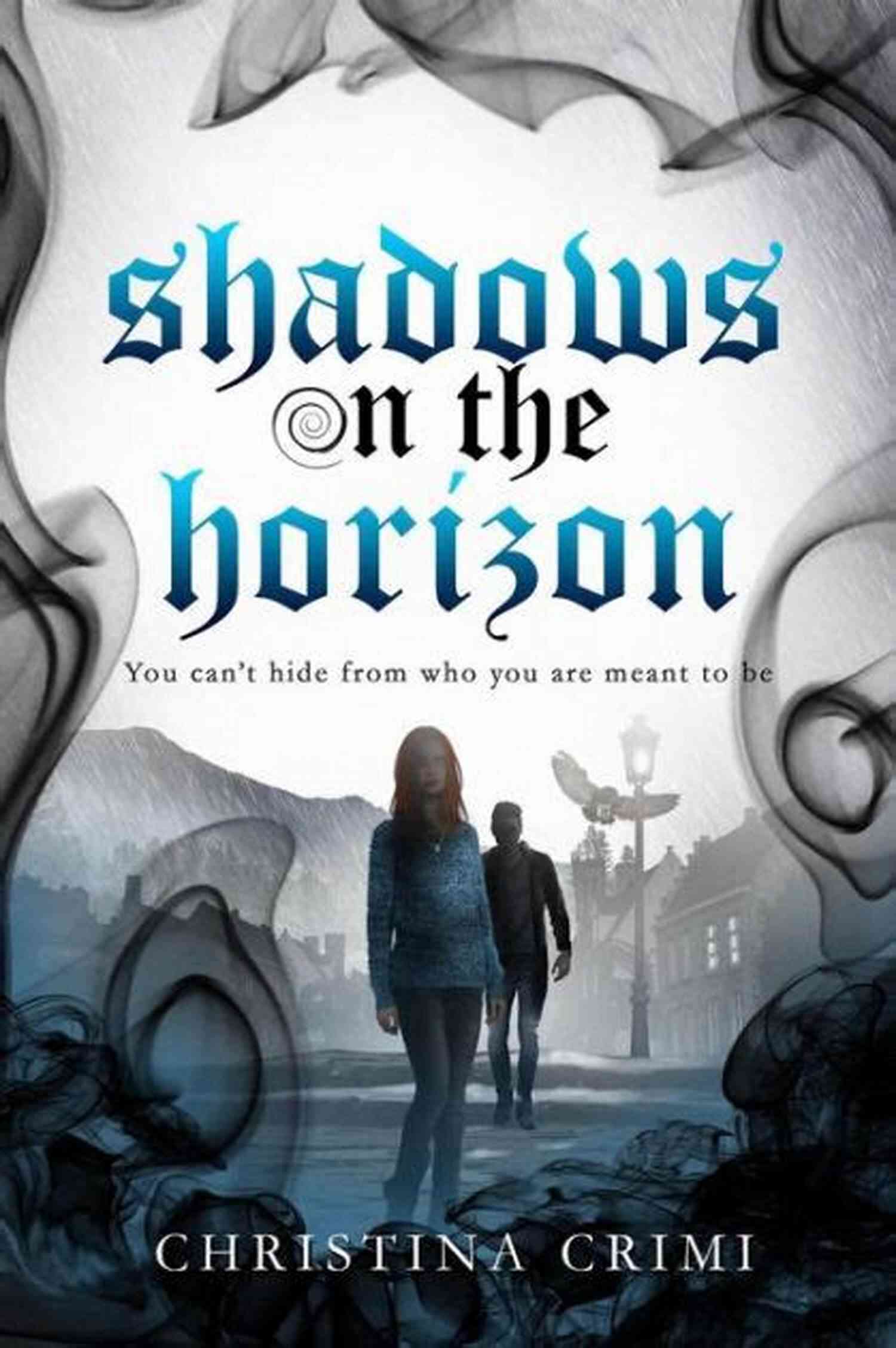 Book 3: Shadows On The Horizon The Forgotten Coast Florida Suspense Series: 1 4