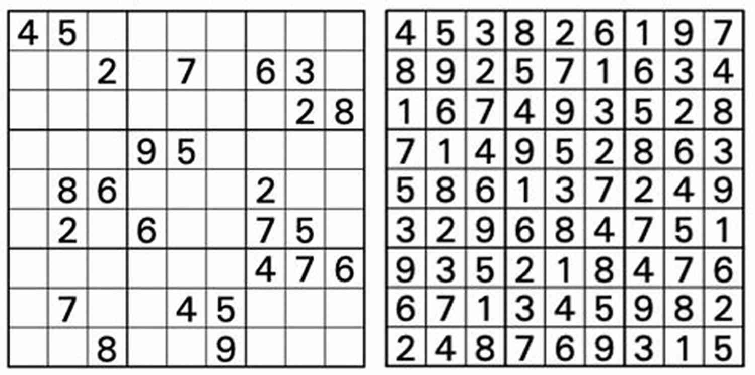 David Solving A Sudoku Puzzle With Intense Focus The Puzzler: One Man S Quest To Solve The Most Baffling Puzzles Ever From Crosswords To Jigsaws To The Meaning Of Life