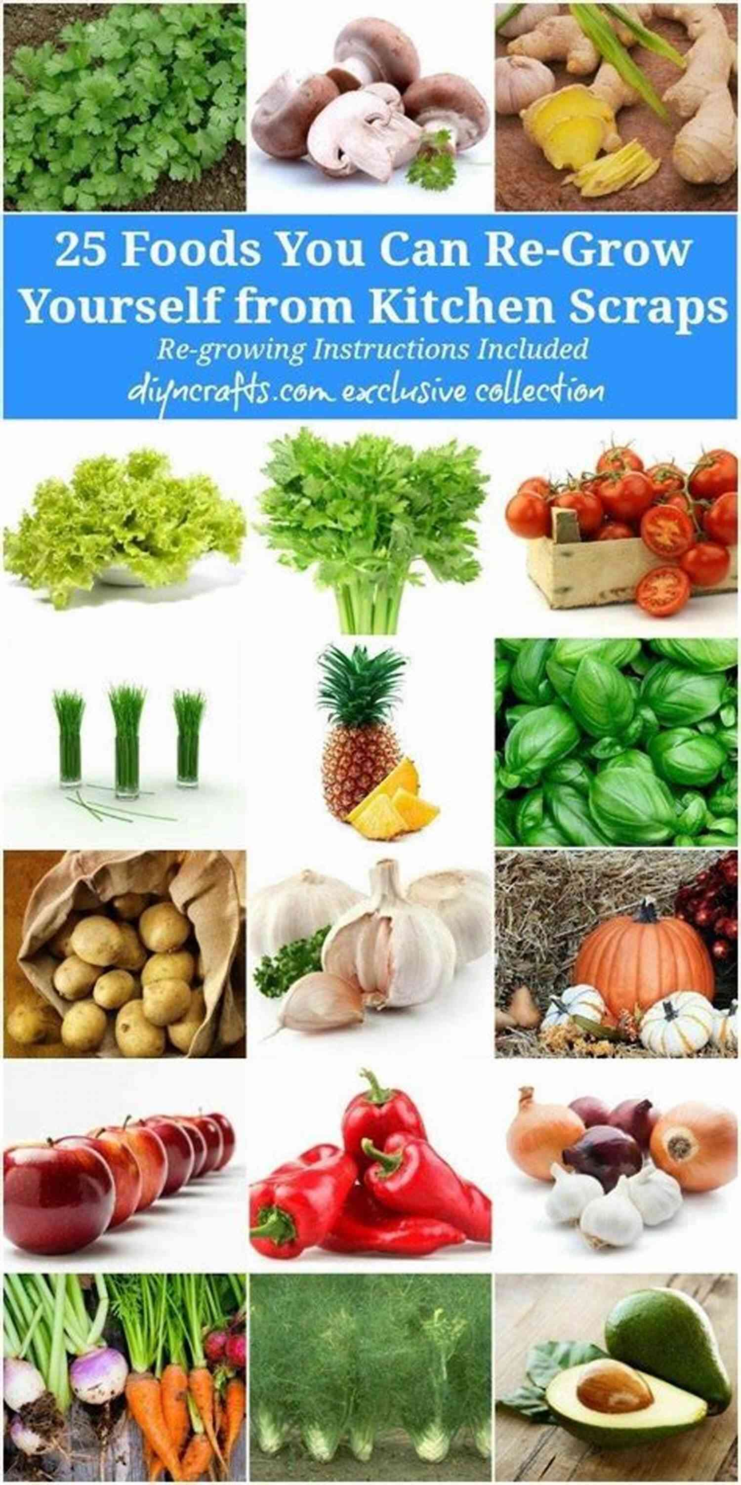 Edible Landscaping: Grow Your Own Delightful Garden Full Of Fresh Food And Stunning Beauty Edible Landscaping: Where To Begin? (Beautiful Food Gardening)