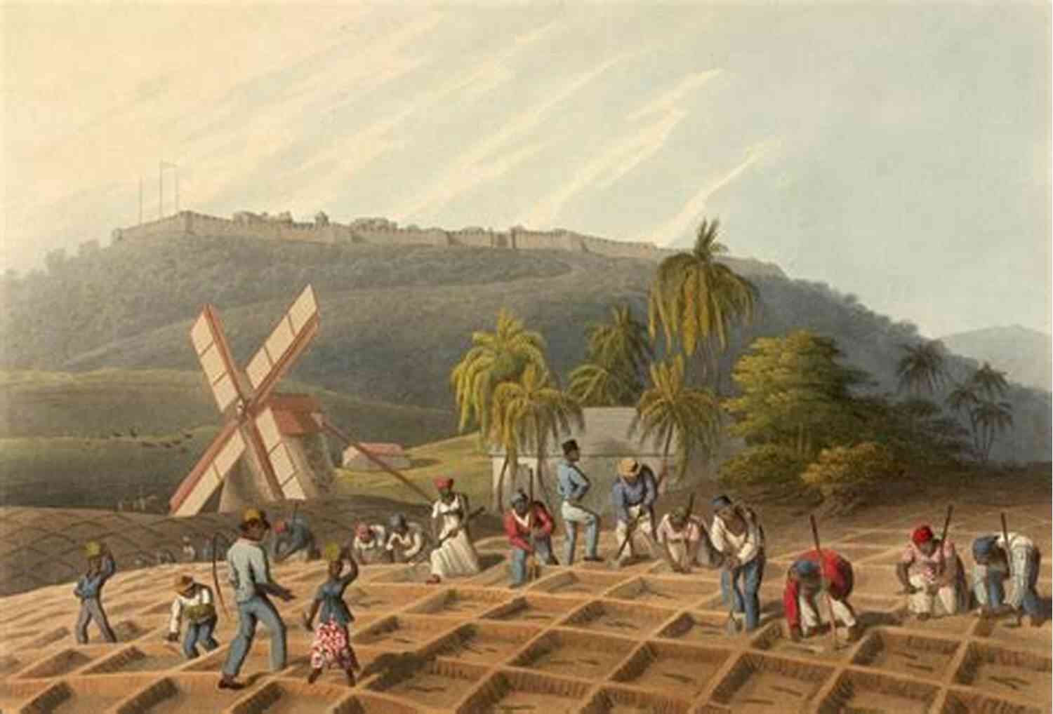 Enslaved Africans Working On A Sugar Plantation In The Caribbean Enslaved In The Caribbean: A Portrait Of Igbo People In 18th Century Bondage