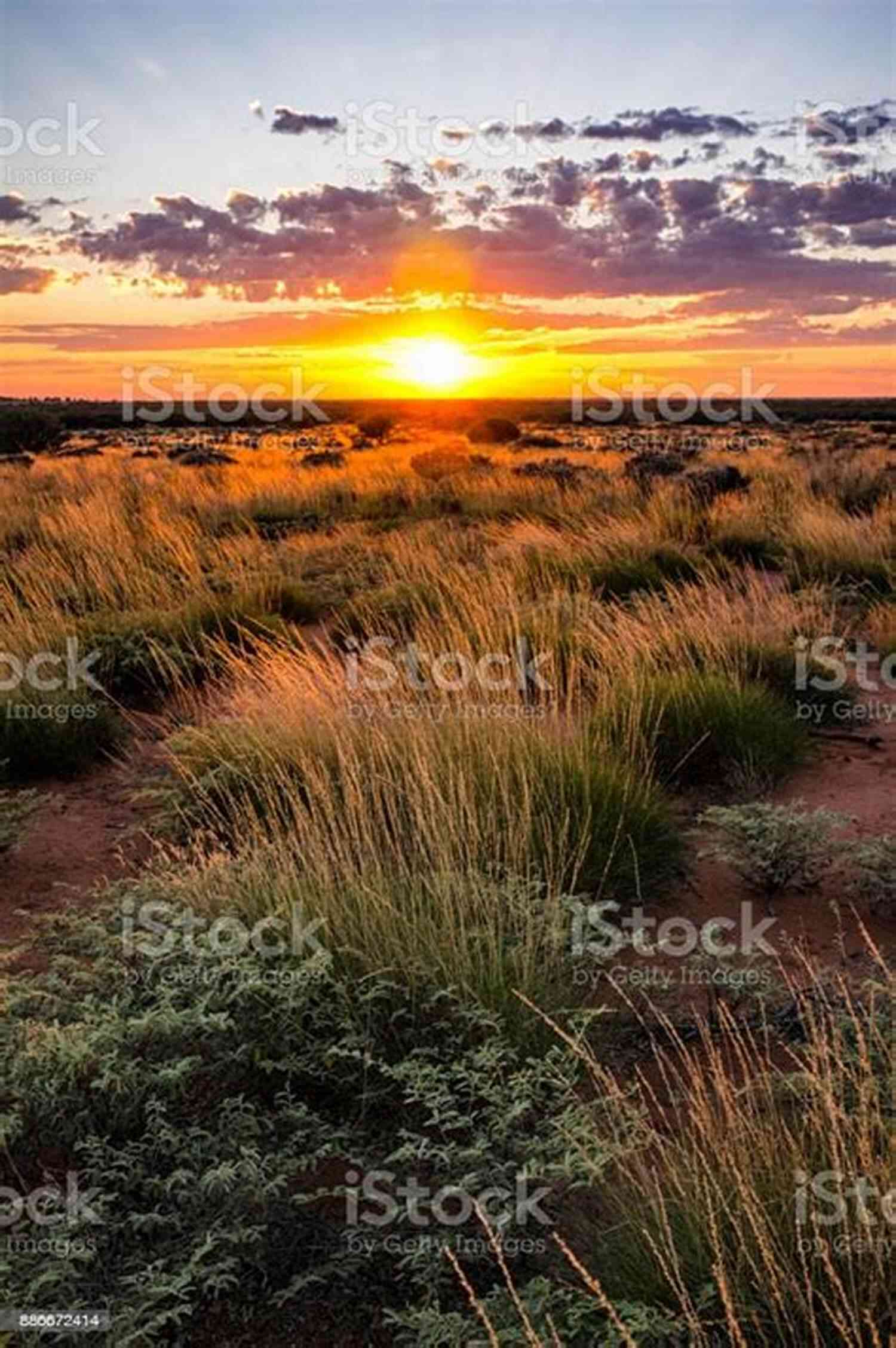 Redemption And New Beginnings The Sun Rises On The Australian Outback Red Dust And The Billionaire: A Clean And Wholesome Outback Billionaire Romance (Billionaires Lonely Hearts Club 1)