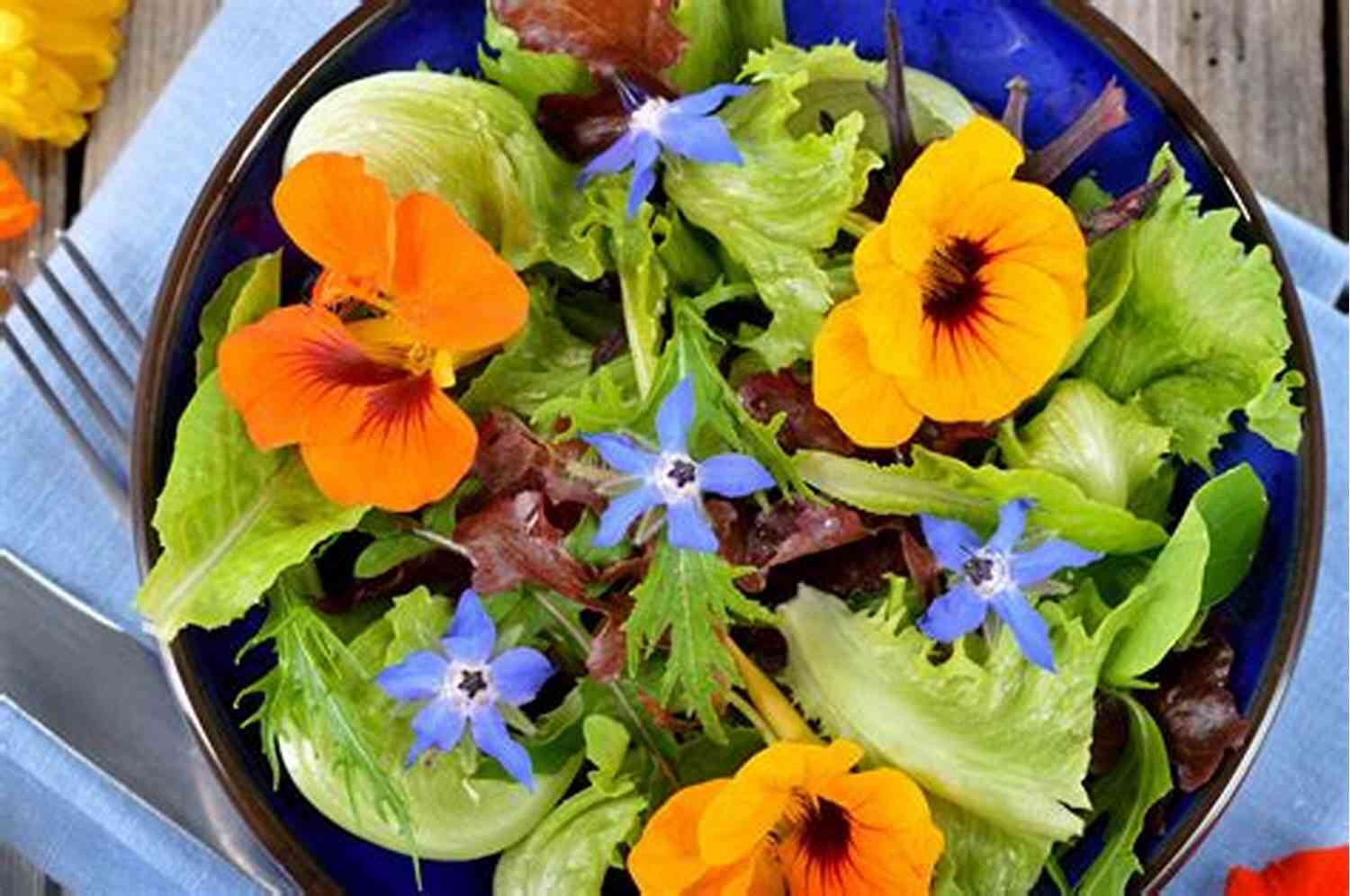 Swiss Chard Bed: A Beautiful Display Of Colorful Edible Plants Edible Landscaping: Where To Begin? (Beautiful Food Gardening)