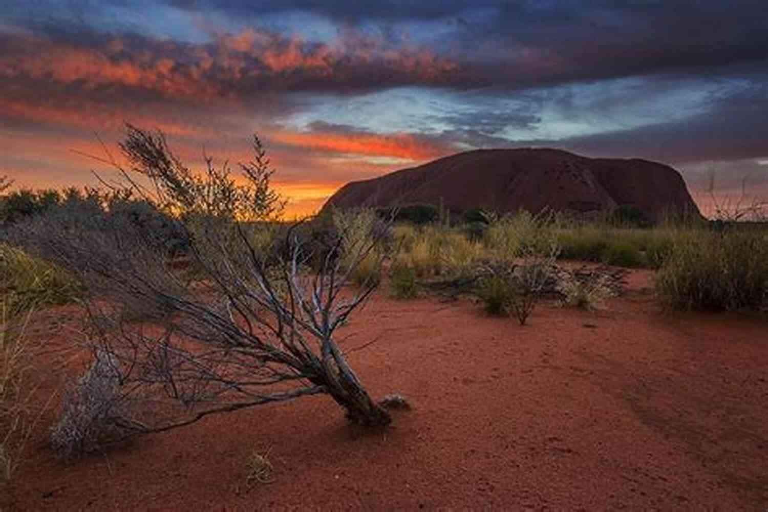 The Mysterious Beauty Of The Australian Outback Red Dust And The Billionaire: A Clean And Wholesome Outback Billionaire Romance (Billionaires Lonely Hearts Club 1)
