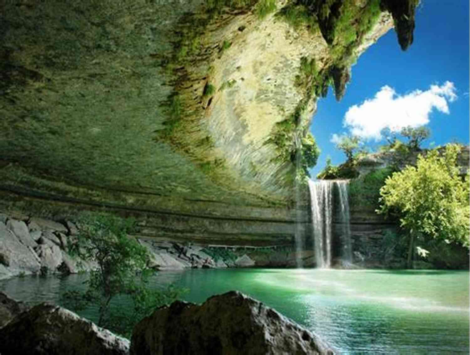 The Astounding Beauty Of Nature's Diverse Creations The Secret Wisdom Of Nature: Trees Animals And The Extraordinary Balance Of All Living Things Stories From Science And Observation (The Mysteries Of Nature 3)