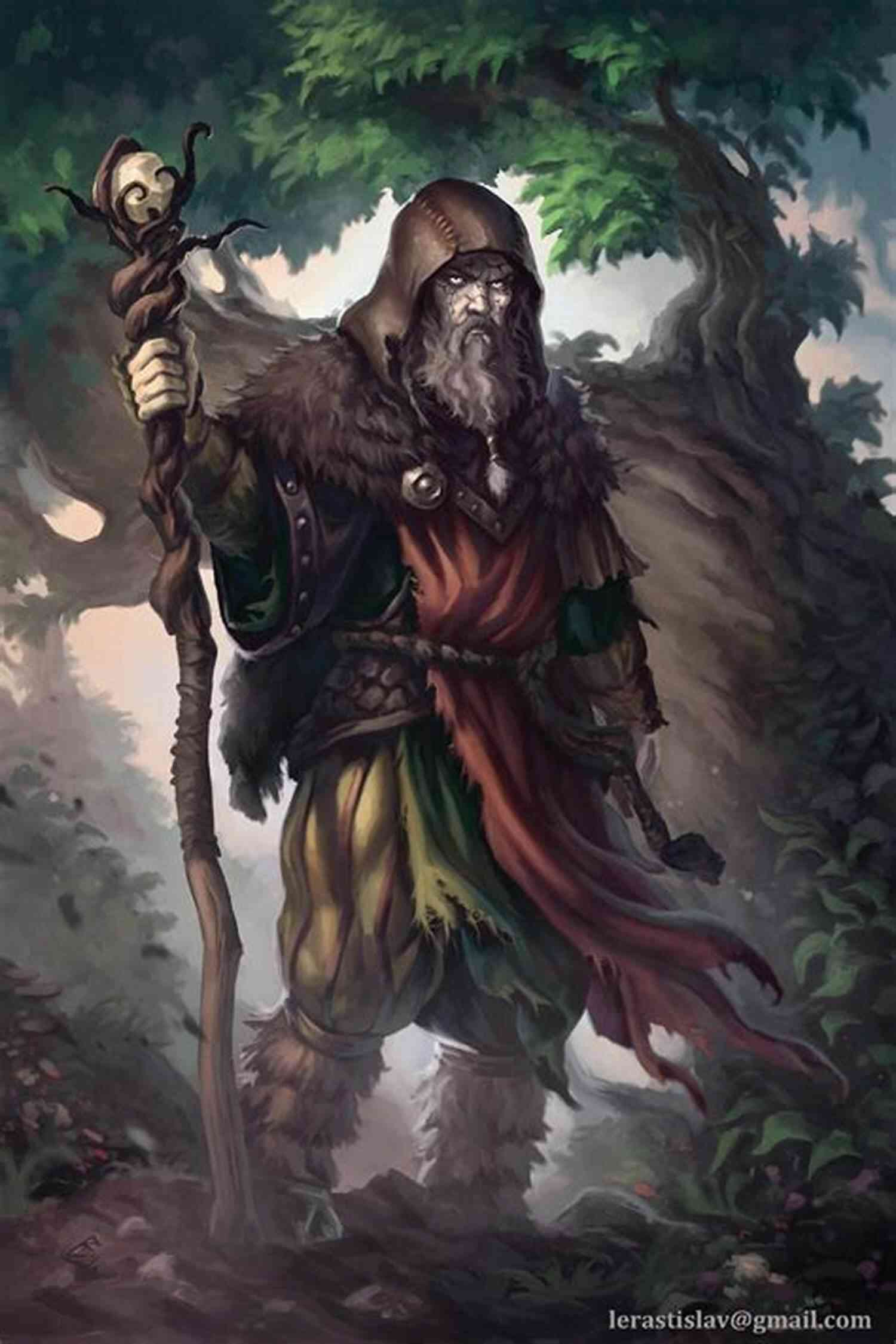 The Cover Art Of The Druid: The Dawning Of Muirwood A Young Druidess Holding A Glowing Staff In A Mystical Forest. The Druid (The Dawning Of Muirwood 1)